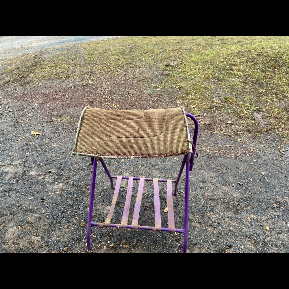 Western pony saddle pad.